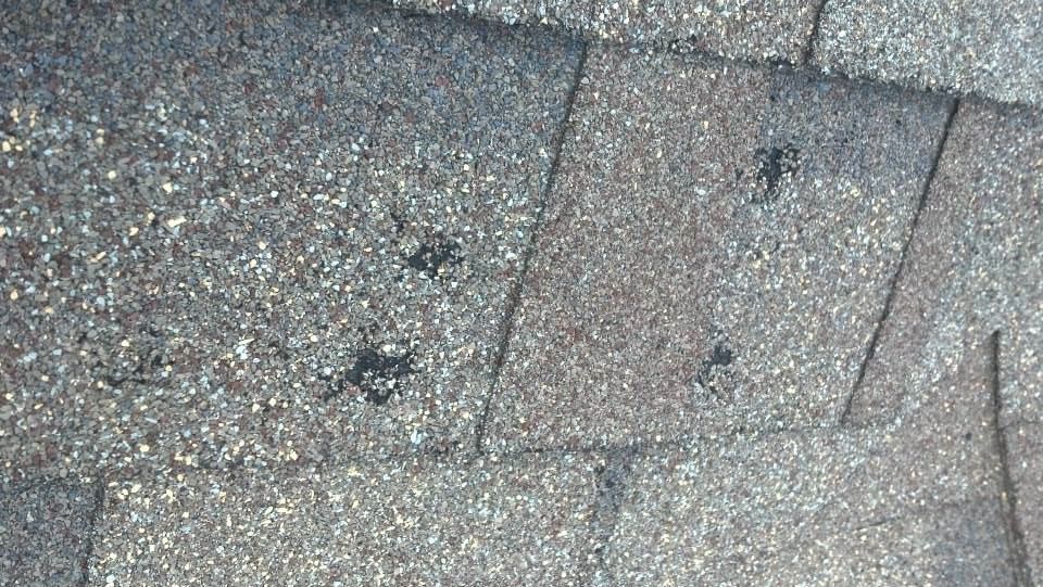 Typical Hail Damage to Shingles